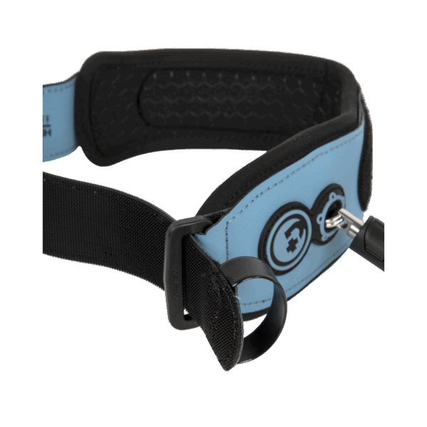 PRIDE TRISTAN ROBERTS BICEPS LEASH PPS TURQUOISE